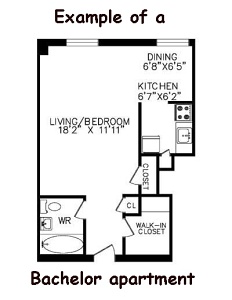 Bachelor apartment layout