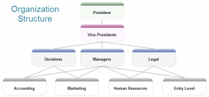 158 - organization-structure