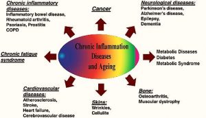 212-chronic-inflamitory-diseases